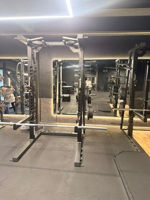 Grand parc de musculation complet (52 pièces) SportsArt 34100 Paris 1 (75)