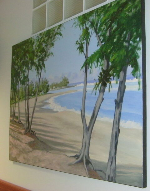 Tableaux 750 Saint-Louis (97)