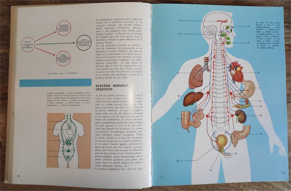 Encyclop&eacute;die M&eacute;dicale de la Famille Vol. 1 Lidis Livres et BD