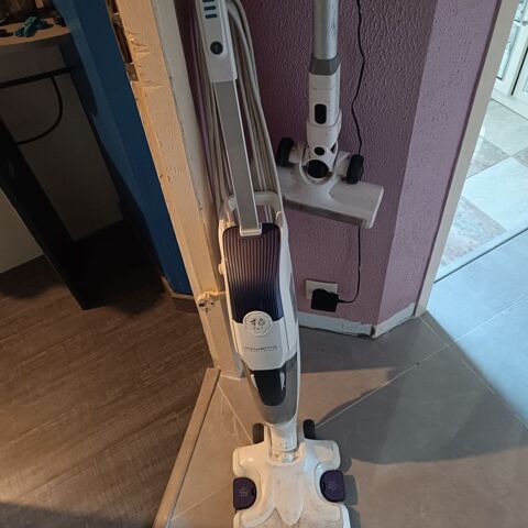 Rowenta clean et stream 150 Anglade (33)