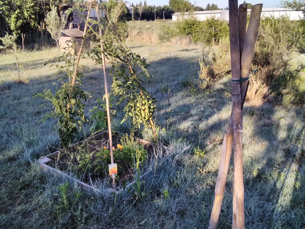 Location Terrain terrains de loisir pour loisir jardinage detente... Eyragues