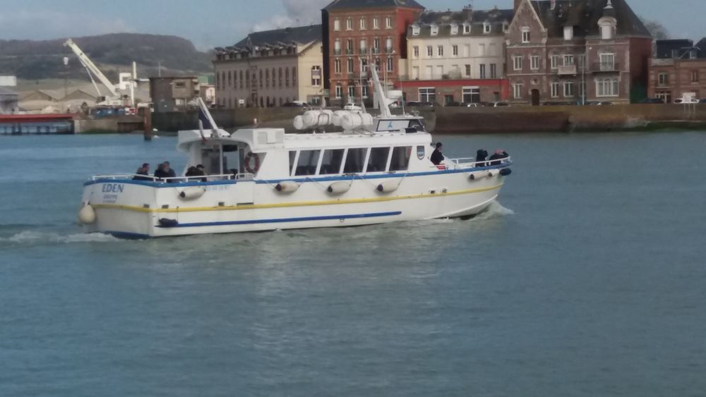   pour 2 ou  4  personnes gite tout  confort
Haute-Normandie, Eu (76260)