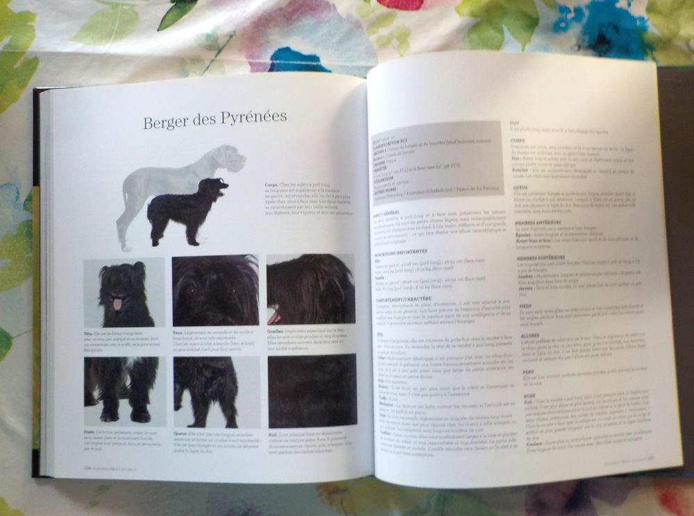 CHIENS DE BERGER Les chiens La grande encyclop&eacute;die visuelle Livres et BD