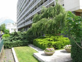  Appartement à louer 1 pièce 16 m²