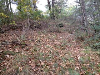  Terrain à vendre 5000 m² Concoules
