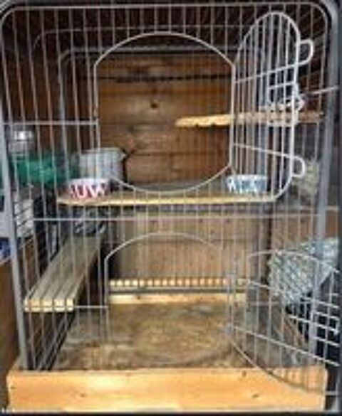   cage 