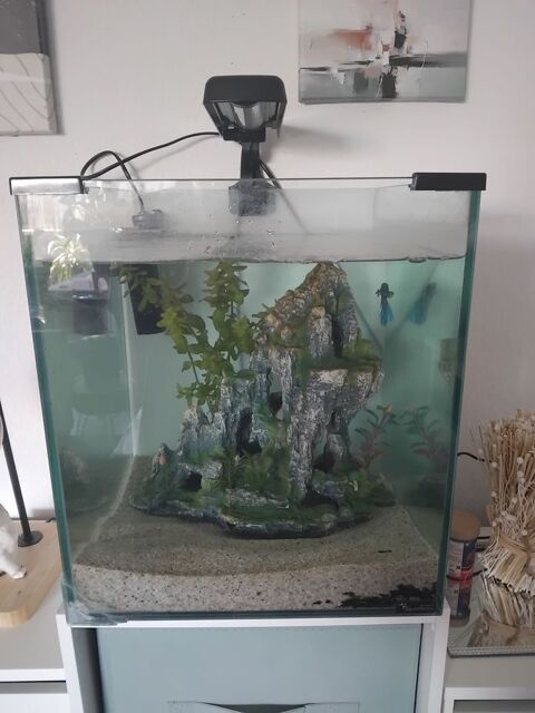 Aquarium complet 40 13090 Aix-en-provence