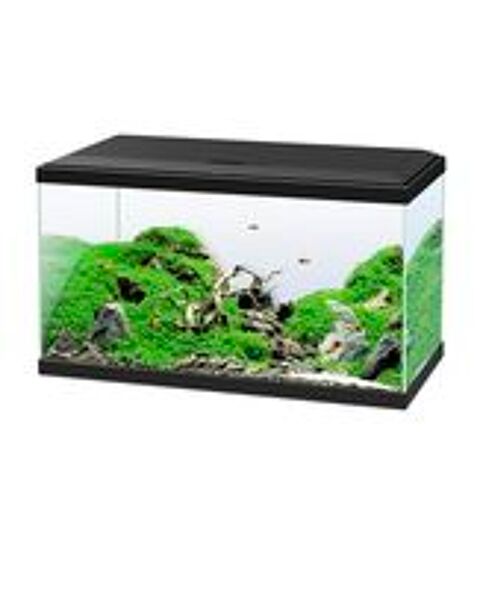   Aquarium 60L complet ? 50 € 