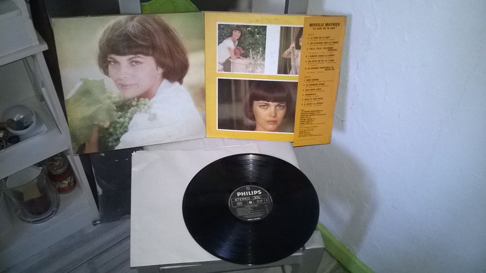 Vinyle Mireille Mathieu
Le Vent De La Nuit
1974
Excellent CD et vinyles