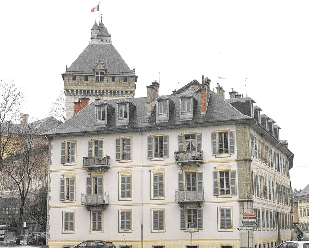 Location Appartement Magnifique T2 meublé hypercentre Chambéry Annecy