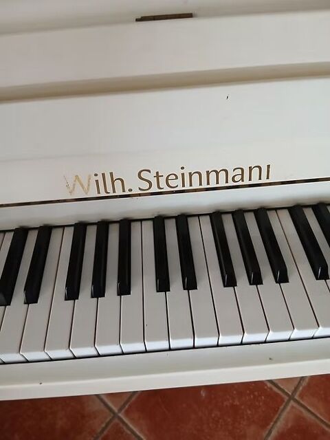 piano d'occasion Wilh.Steinmani 100 Fosses (95)