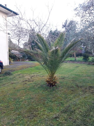  Maison � vendre 8 pi�ces 150 m�