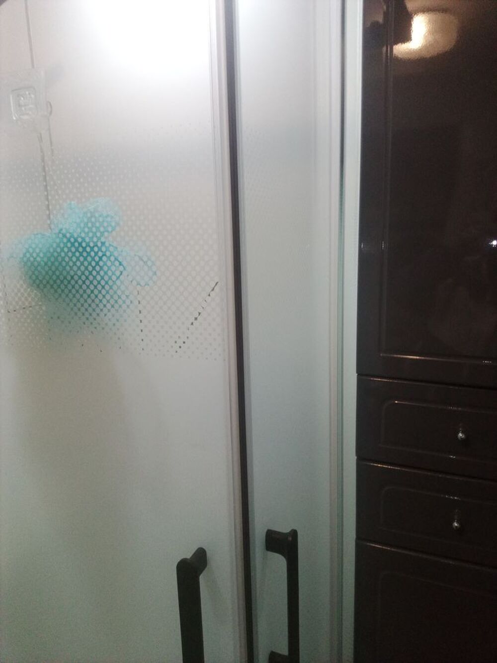 panneaux de douche Bricolage