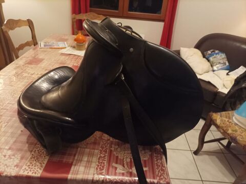 selle espagnol 300 74380 Cranves-sales