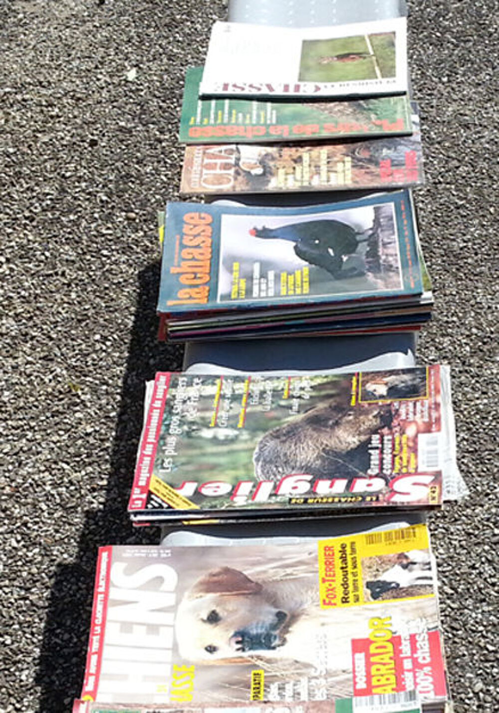 30 revues de chasse sp&eacute;ciales diversifi&eacute;es tr&egrave;s bon &eacute;tat Livres et BD