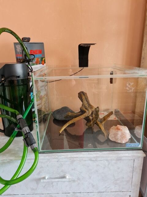 d une cuve d aquarium 80 Malakoff (92)