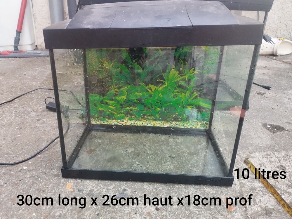   Petit aquarium idéal combattant ou banc micro poisson  