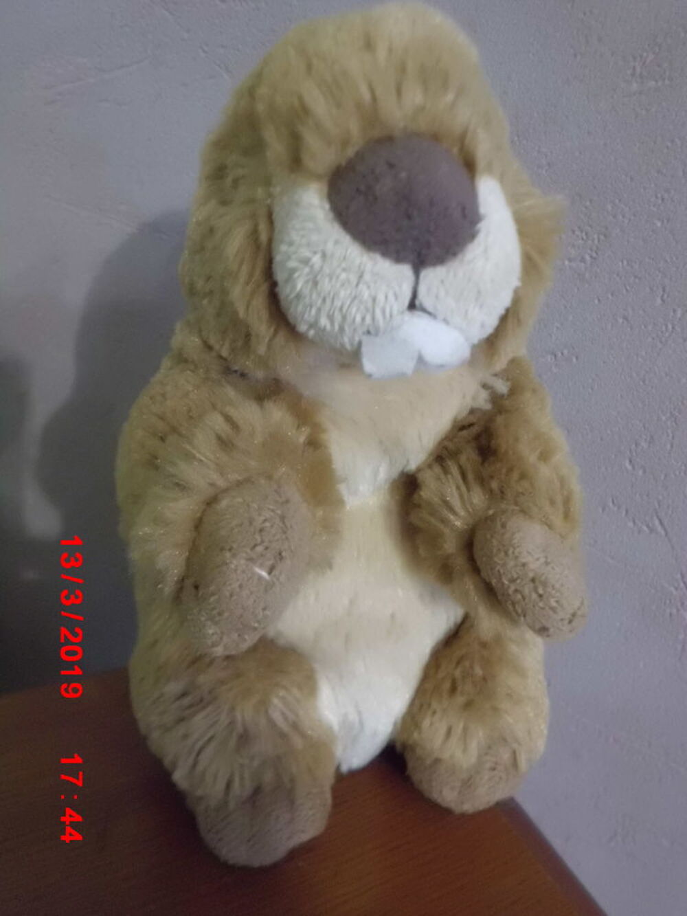 MARMOTTE DANI Jeux / jouets
