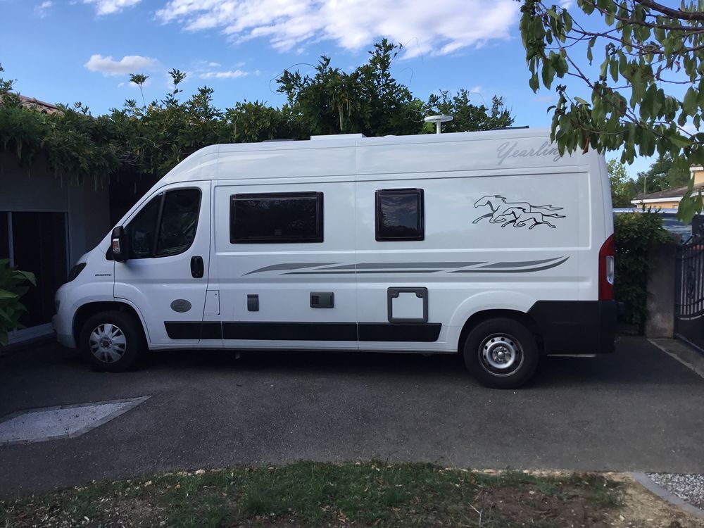  2019 occasion 31620 Fronton