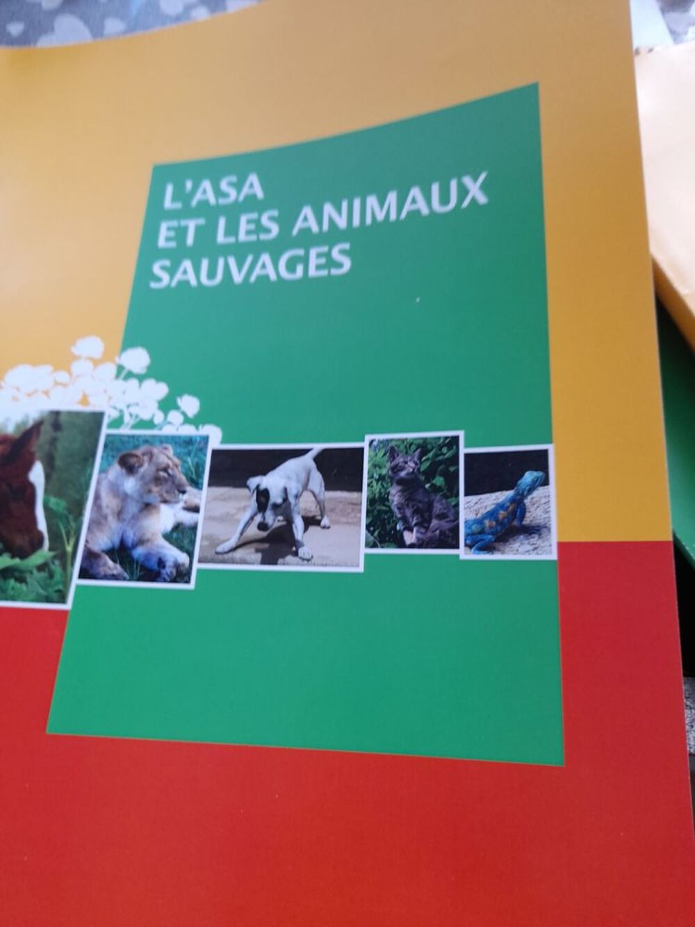 Ensemble de livres sur les animaux. Livres et BD