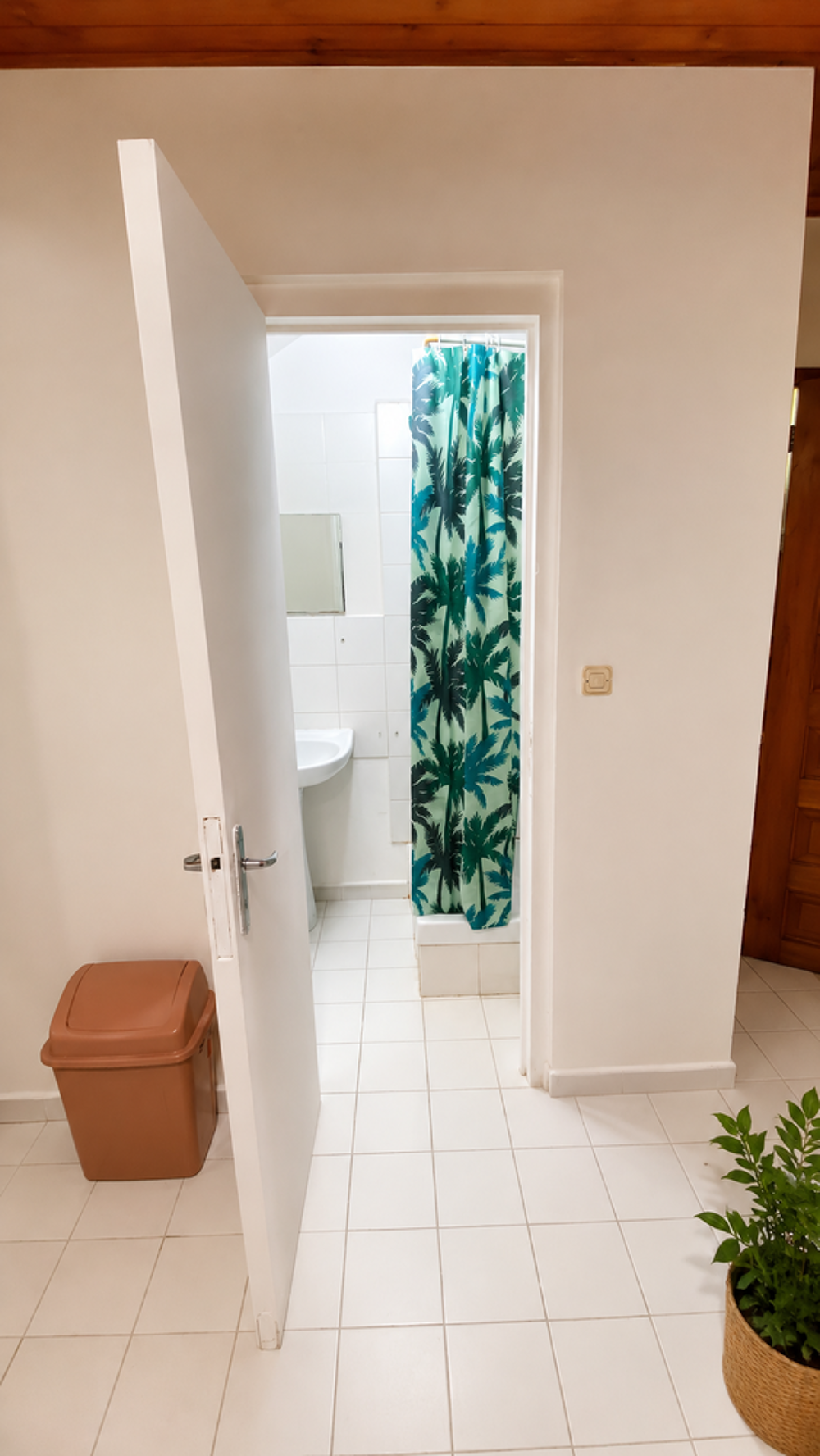 Location Appartement Studio meublé Pointe-à-pitre