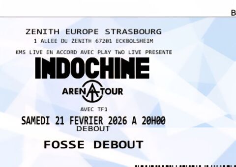 Billet concert indochine 55 Pretin (39)