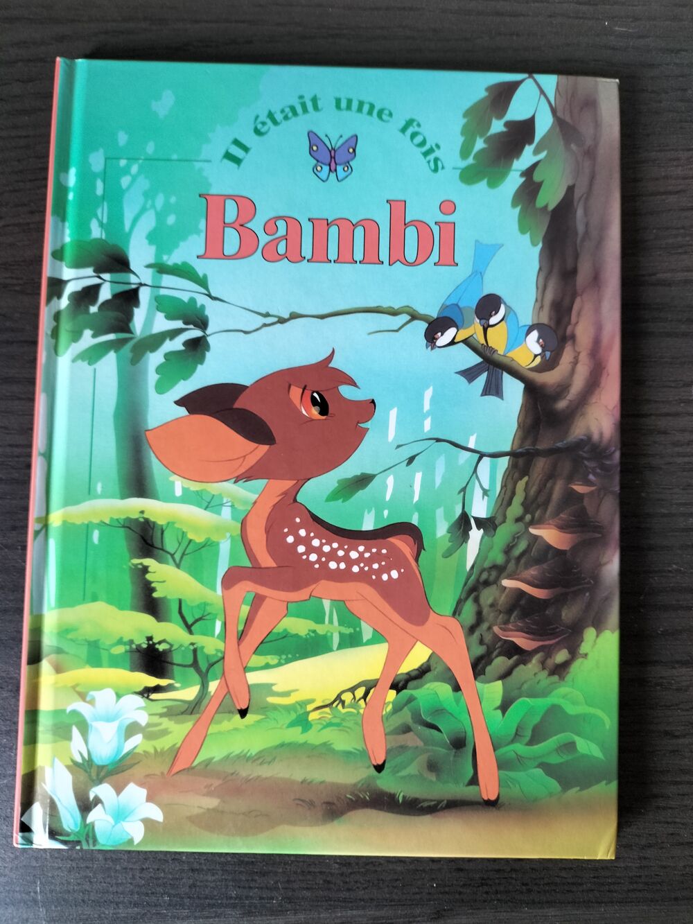 Livres de poche enfants Livres et BD