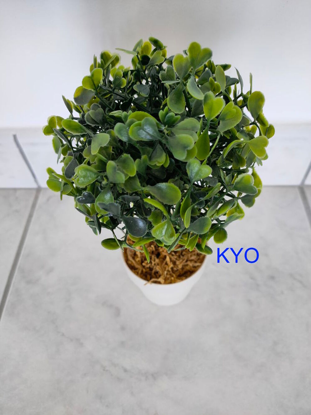 Petit Arbre buis rond, Hauteur 22cm Diam&egrave;tre 11,5cm bonsa&iuml; Décoration