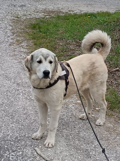 Zeus 280 26100 Romans-sur-is�re