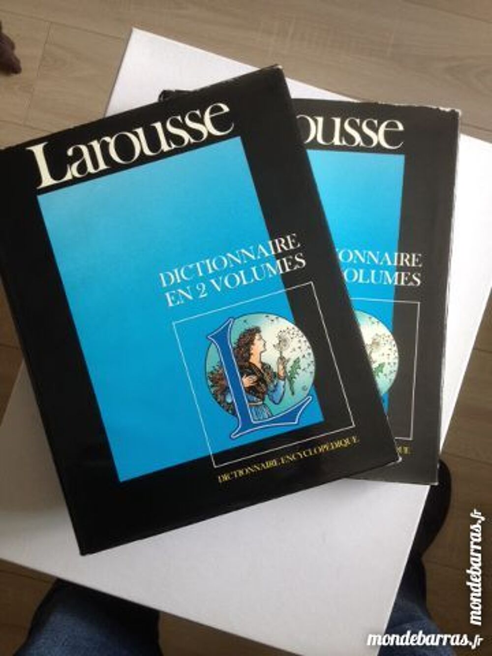 Dictionnaire encyclop&eacute;dique 2 volumes Livres et BD
