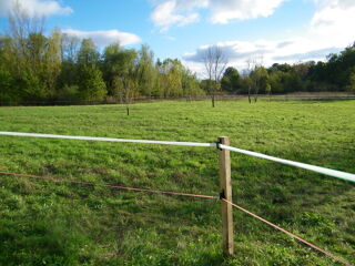 Location Terrain Prairie pour chevaux Laroque-timbaut