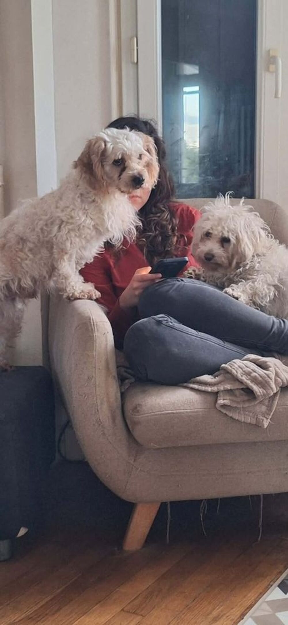   Noee à l'adoption  