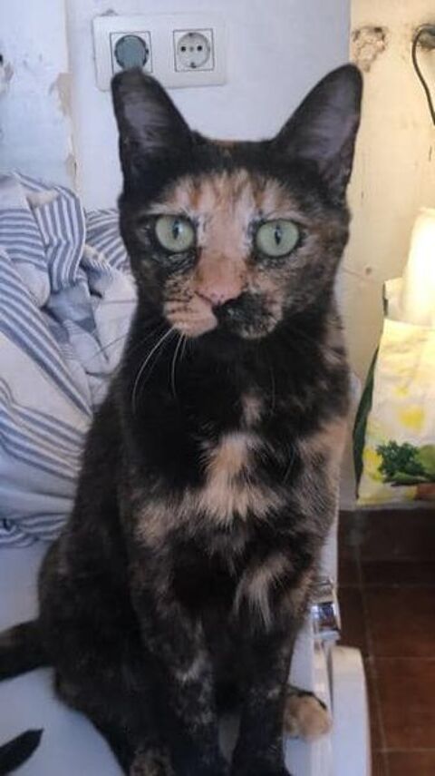 FIONA 95610 ragny