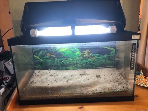 Aquarium 50 30250 Combas