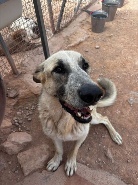 KIKO 320 27620 Gasny