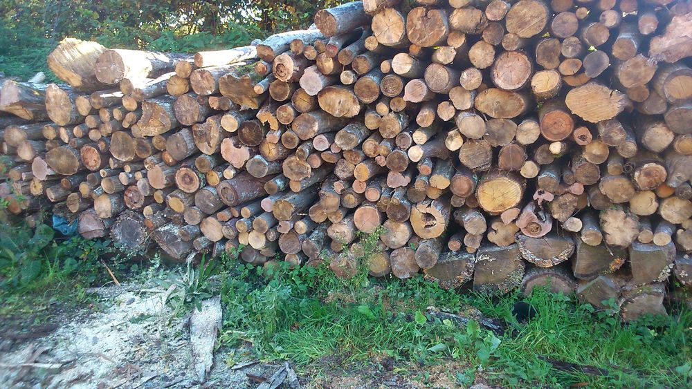 bois de chauffage Jardin