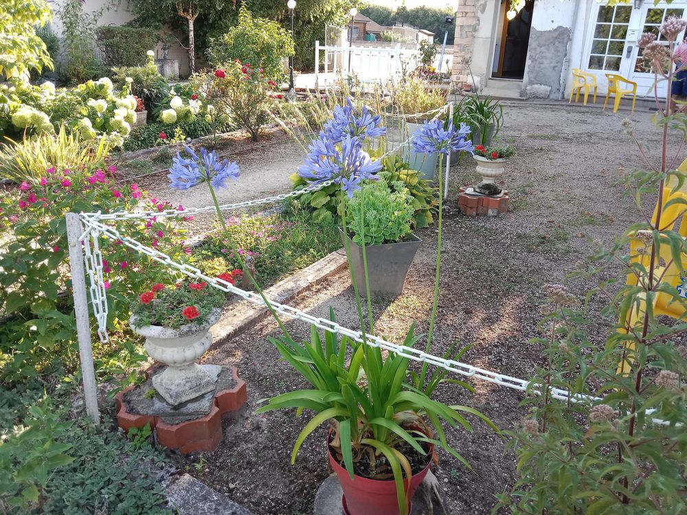 Location Maison MEUBLÉ pour SAISONNIERS Montbellet