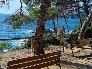  Terrain � vendre 525 m� Perpignan