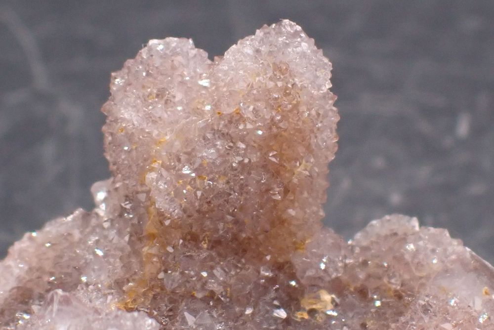 Quartz "Cactus" Mont Magaliesberg , Pr&eacute;toria , Province de G 