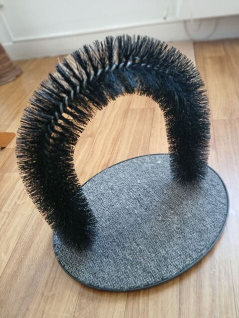 Grattoir chien / chat 10 44600 Saint-nazaire