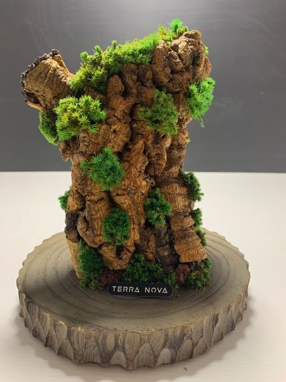 Rocher v&eacute;g&eacute;tal avec mousse stabilis&eacute;e immortel 
