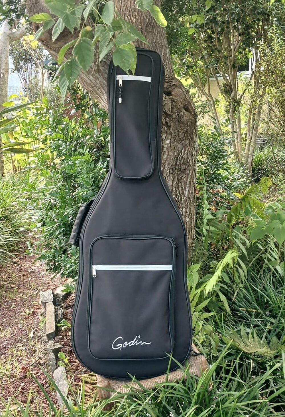 GUITARE ELECTRO ACOUSTIQUE GODIN 12 CORDES PARFAIT ETAT Instruments de musique