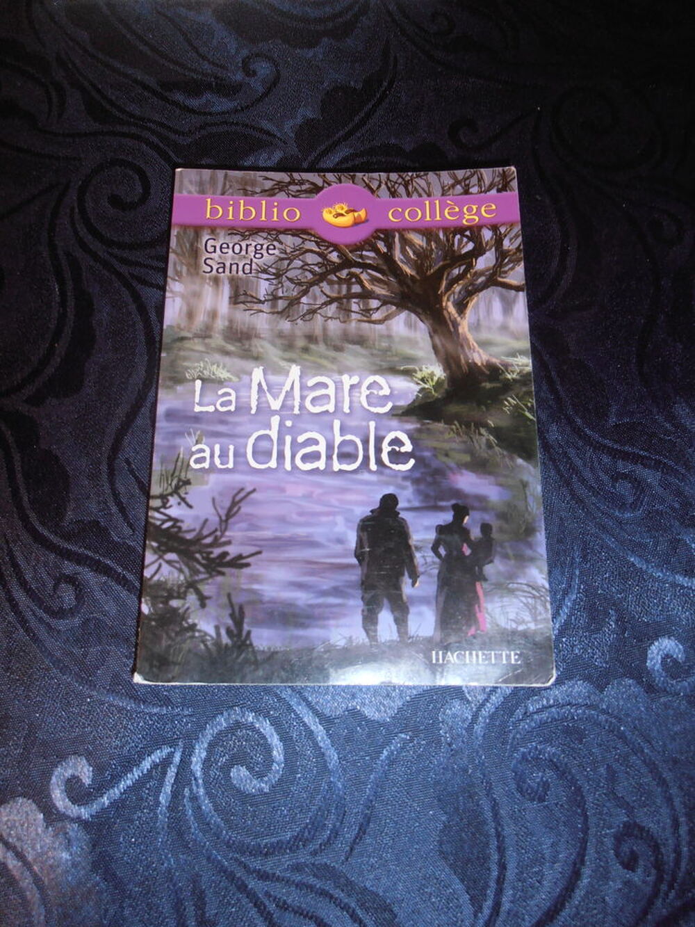 La Mare au diable (29) Livres et BD