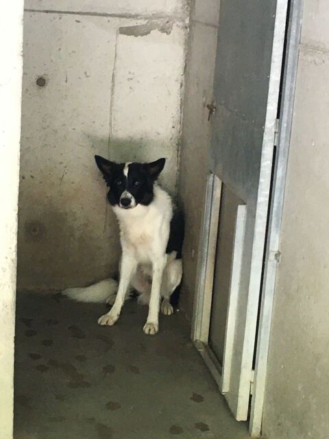 Rom�o 26700 Pierrelatte