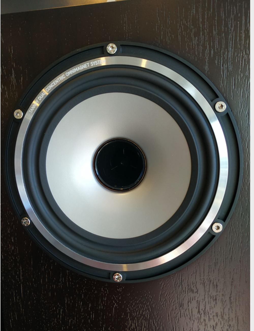 Enceintes Tannoy Revolution 6 XT Comme neuves Audio et hifi