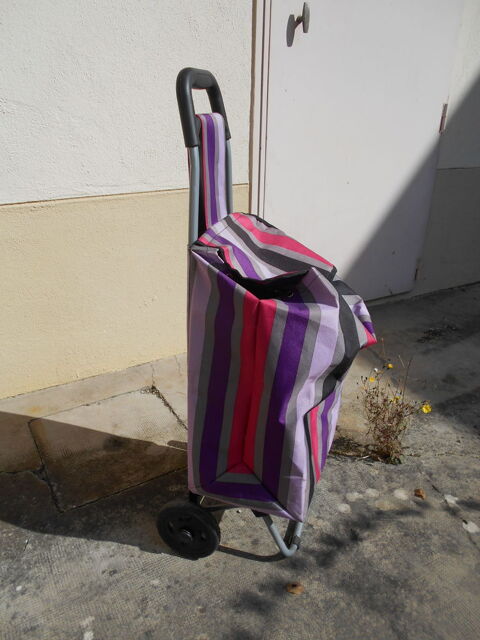 trolley cabas pour course 8 Dommartemont (54)