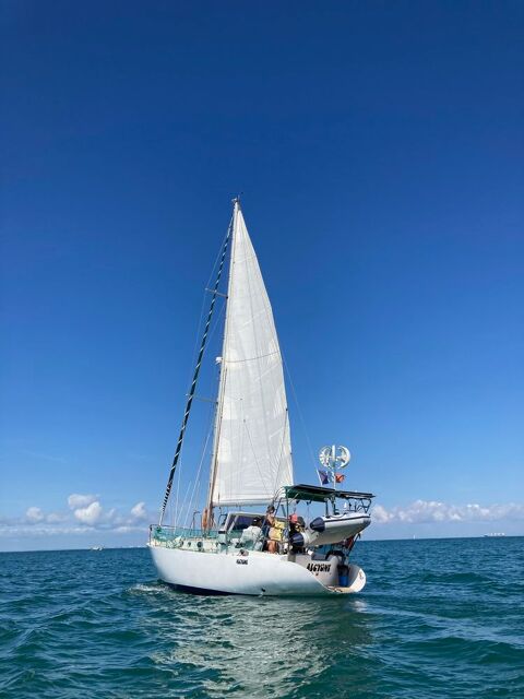 Voiliers Dériveur 1995 occasion La Rochelle 17000