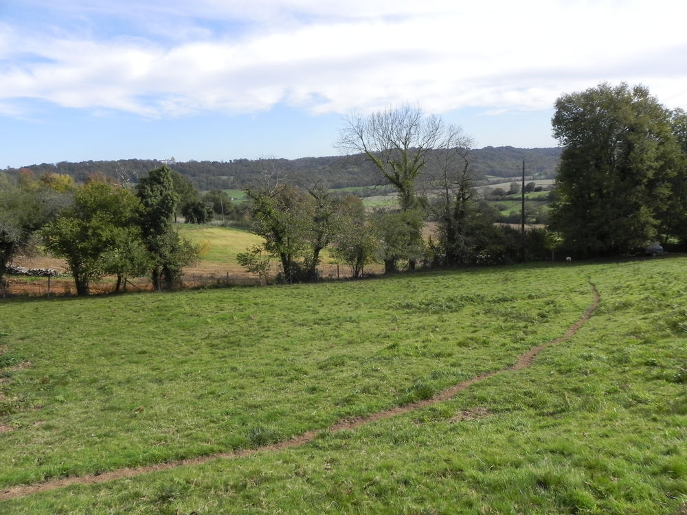Vente Terrain Terrai constructible Samsons-lion