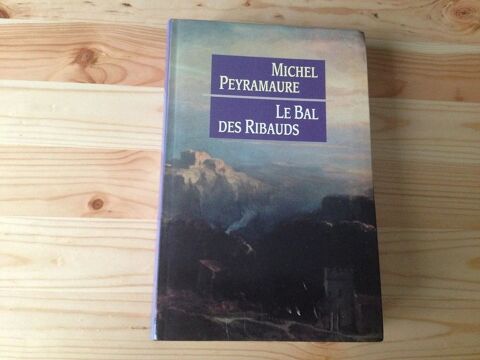 Michel Peyamaure - Le bal des Ribauds 10 Dijon (21)