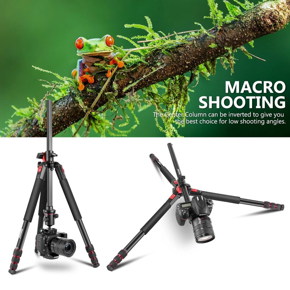 Tr&eacute;pied professionnel NEEWER N284L+G0 avec Monopode Photos/Video/TV
